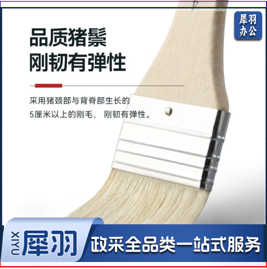6＃猪鬃板刷 偏硬头猪鬃板刷美术手绘墙绘猪鬃短柄油画板刷 货号：JC