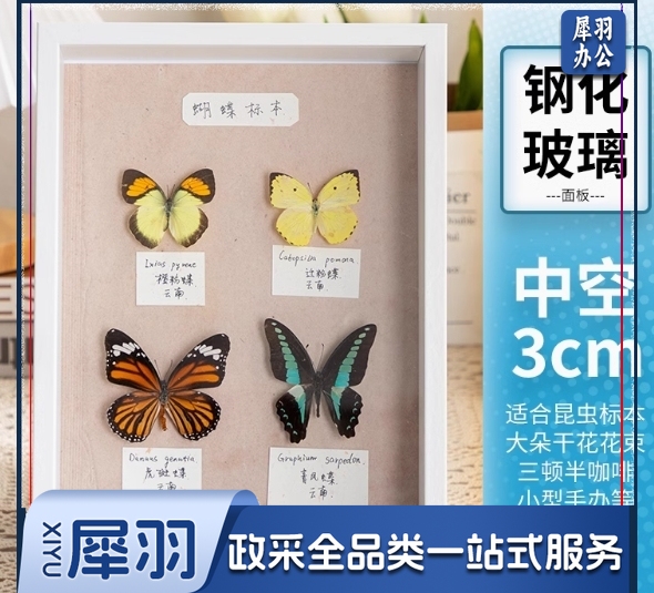 中空相框摆台手工昆虫标本盒立体展示框A/4寸(内径21*29.7cm)白色(中空3cm)