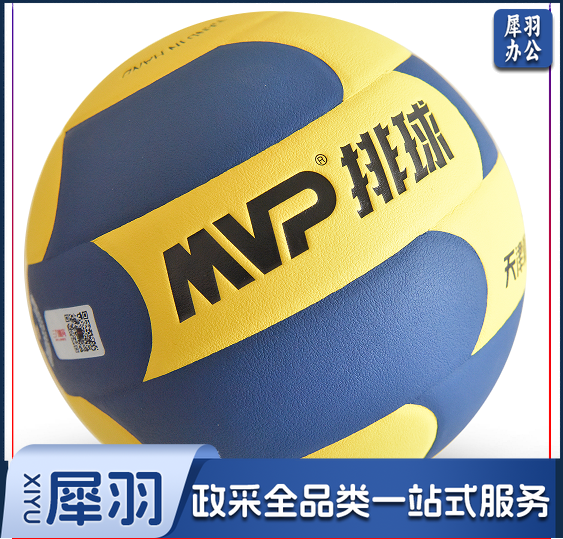 体育中考专用5号排球