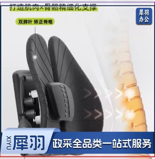 护腰靠垫 护脊版 黑+4D纤维垫