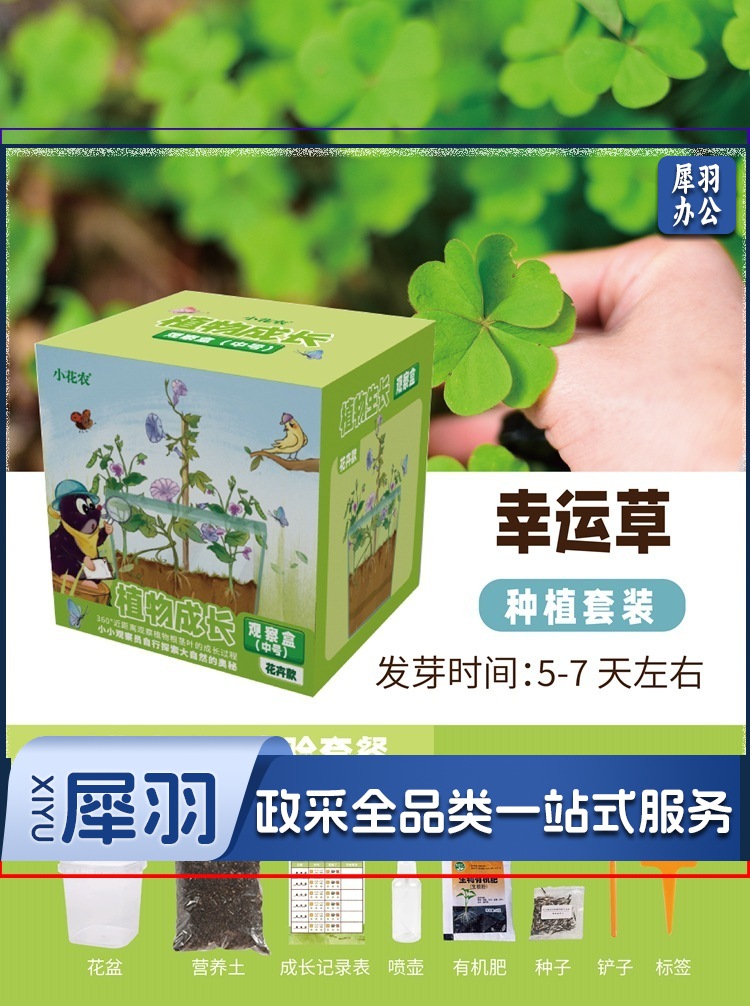 幼儿园学生劳动课学种植物根系生长透明观察盒儿童菜种子发芽记录（含羞草种植套装12.5*11.5*13CM）