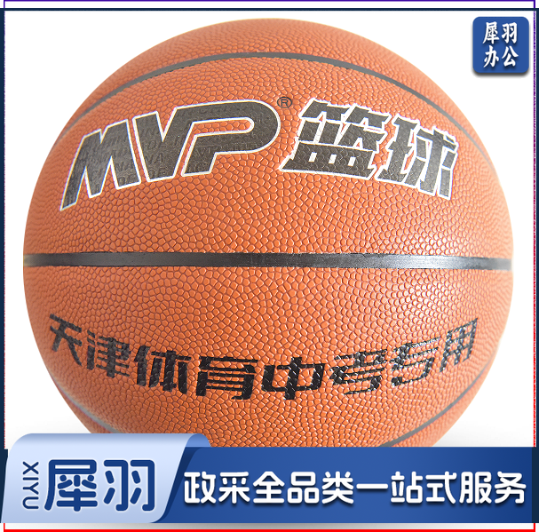 体育中考专用6号篮球