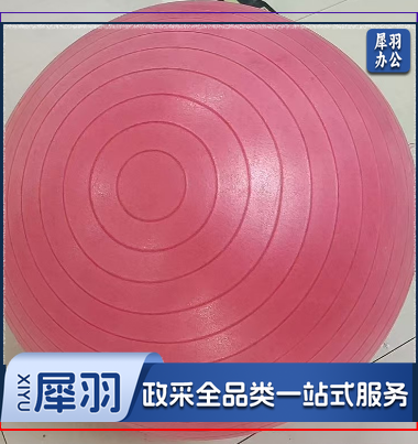 瑜伽球 75cm磨沙瑜伽球 承重200斤