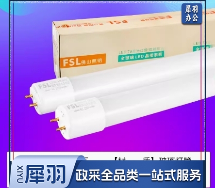 佛山FSL T8 LED灯管 220V30W 65K 1.2米 双端标准