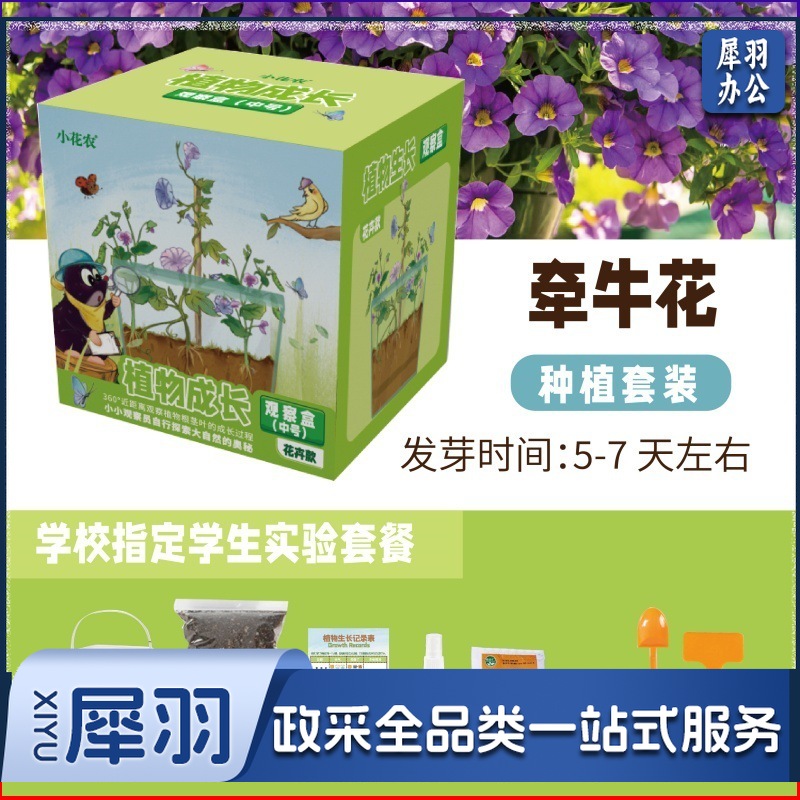 幼儿园学生劳动课学种植物根系生长透明观察盒儿童菜种子发芽记录（ 花卉款牵牛花12.5*11.5*13CM）