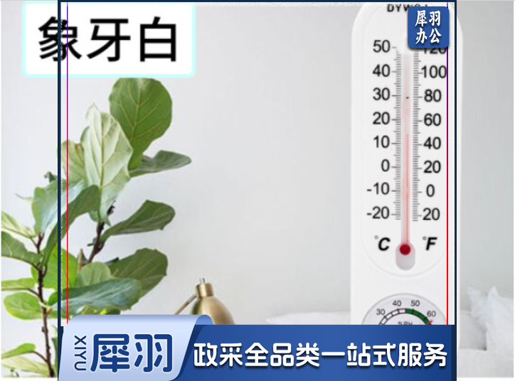 精准壁挂式温度计温湿度计办公室挂墙式
