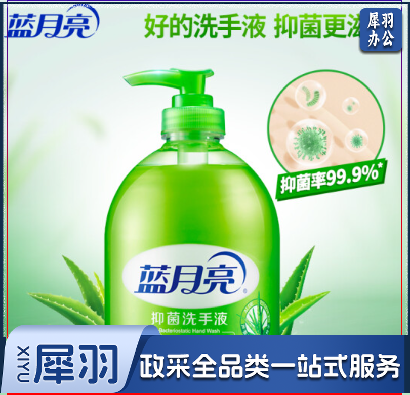 蓝月亮抑菌洗手液500g 双瓶装