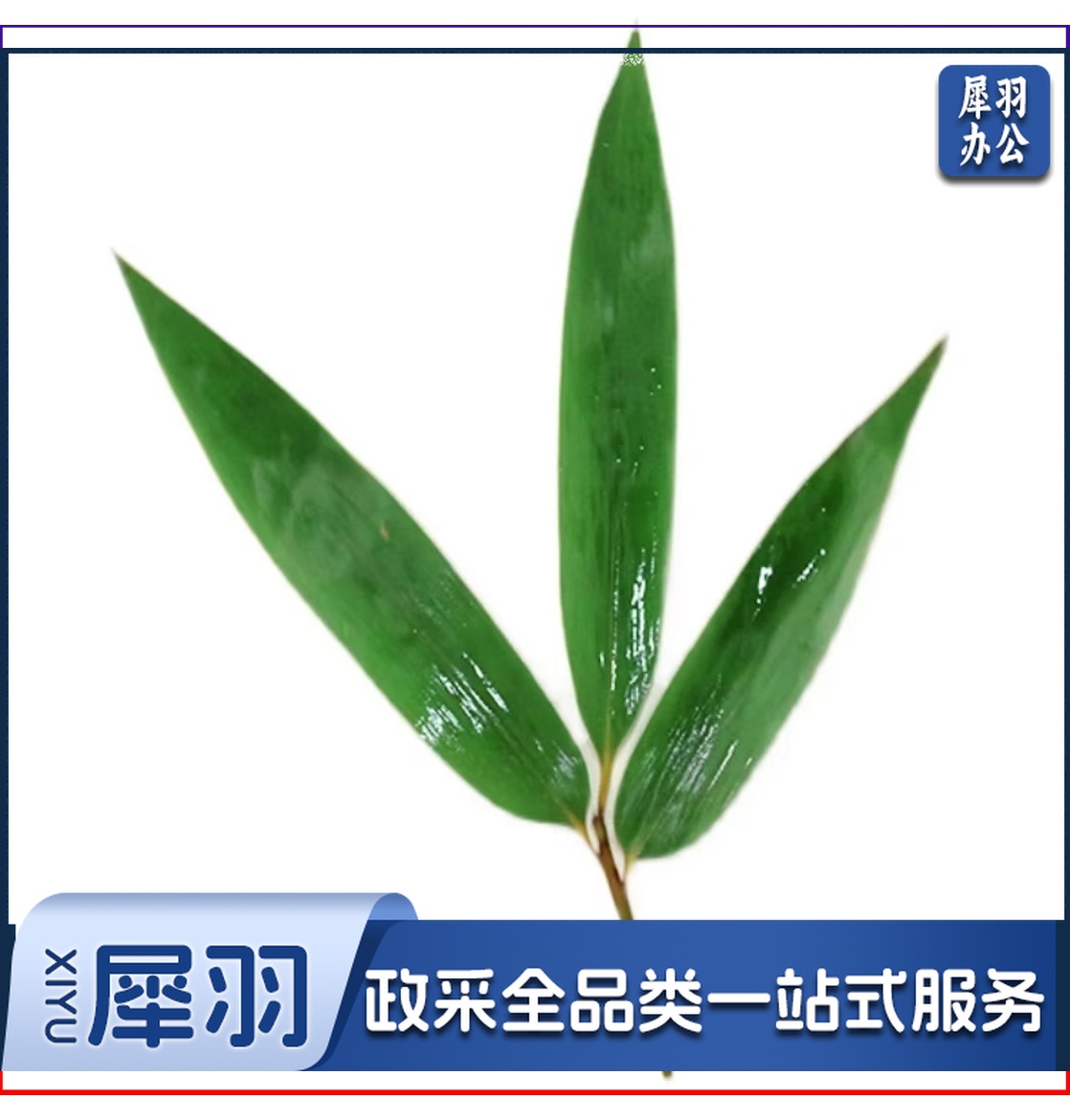 酒店西餐花草摆盘凤尾竹叶(100片/包 )