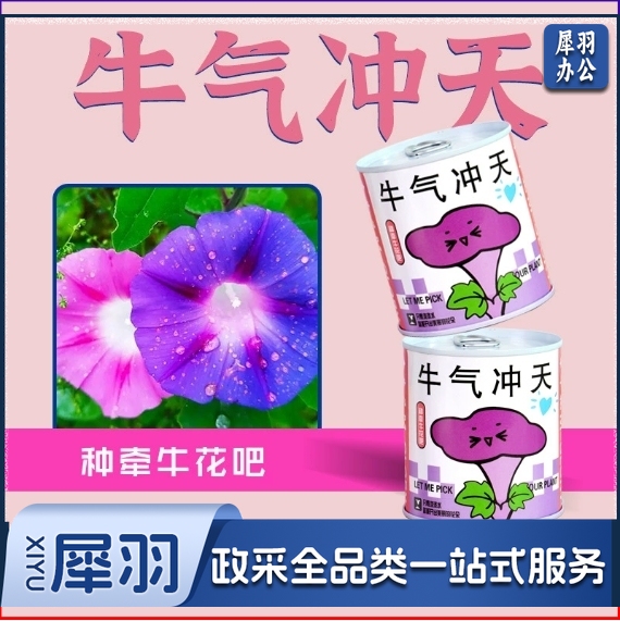 儿童种植易拉罐盆栽绿植盲盒幼儿园小学生植物生长观察发芽种子（任选款式）