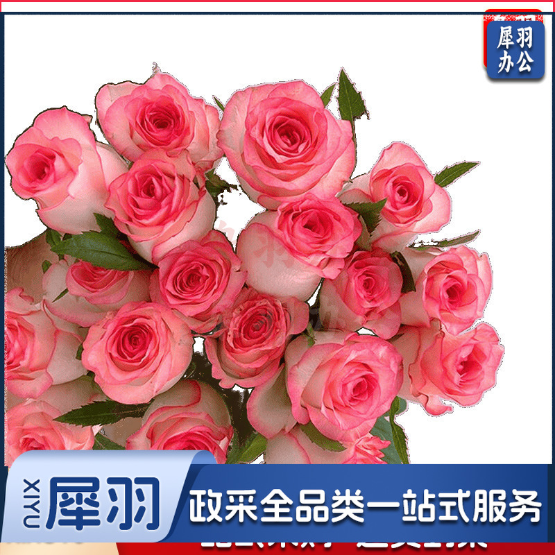 鲜花香槟玫瑰昆明基地直发水养鲜切花同城速递情人节花束（定制款详情咨询客服）