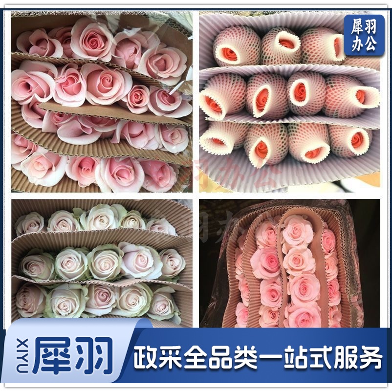 2d261e3c-c22f-41e8-8e17-66b5d041ccd5.jpe