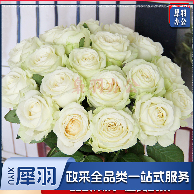 鲜花香槟玫瑰昆明基地直发水养鲜切花同城速递情人节花束（定制款详情咨询客服）