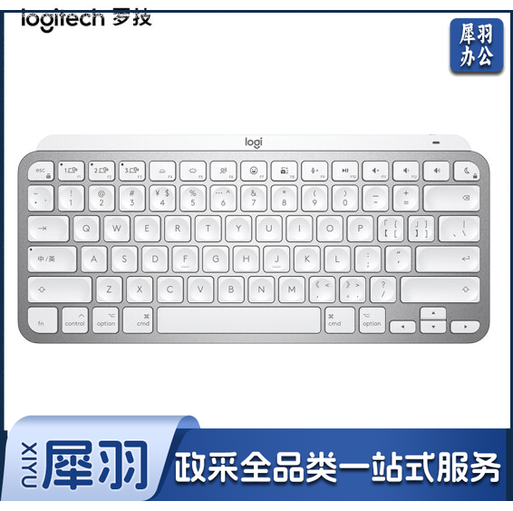 罗技(Logitech)MX Keys Mini时尚键盘手袋套装 无线蓝牙办公超薄迷你键盘 智能背光 蓝牙键盘 Mac版