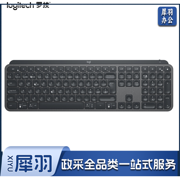 罗技(Logitech)MX Keys 键盘 无线蓝牙键盘 办公键盘 超薄 全尺寸 智能背光 深灰色