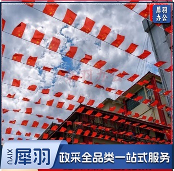 中国五星红旗国旗带杆户外串旗壁挂斜插式旗杆 门口家里店铺商场装饰马路路灯挂旗 【国旗串旗2条】8号国旗100面(约30米)紧密款
