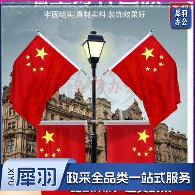 中国五星红旗国旗带杆户外串旗壁挂斜插式旗杆 门口家里店铺商场装饰马路路灯挂旗 【国旗串旗2条】8号国旗100面（约30米）紧密款