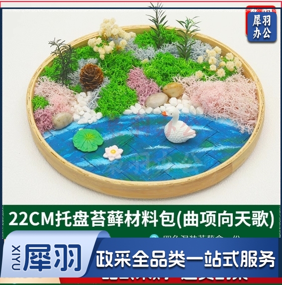 苔藓微景观盆栽diy材料包 （小号）曲项向天歌+微景观材料包