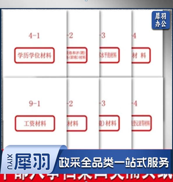 干部人事档案4类九类隔页纸