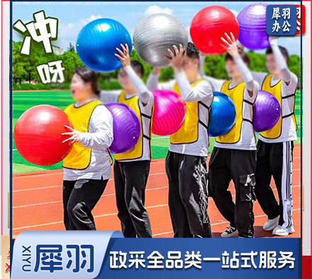 团队运球团队协作拓展活动/10球含充电泵