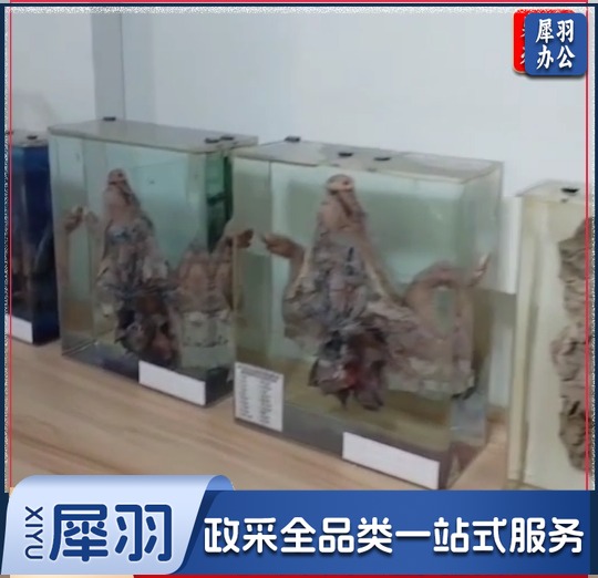 方形亚克力标本储存瓶30x40x5cm