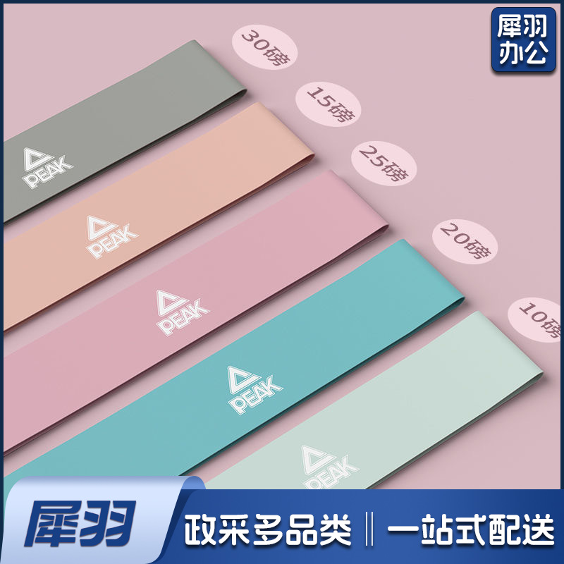 弹力带10kg 弹力带15kg 弹力带20kg 弹力带25kg 弹力带30kg(一套）