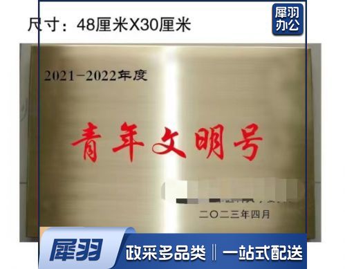奖牌 门牌 青年文明号奖牌48*30cm 具体定制内容联系客服