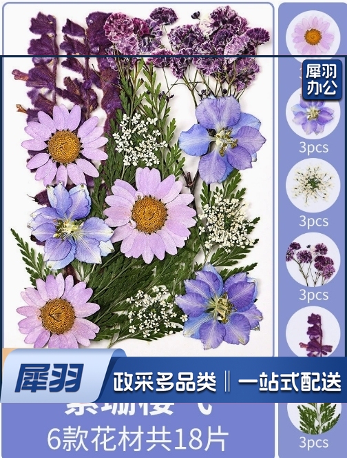 亚克力压花相框手工diy(紫珊樱飞(干花包18片))制作材料包干花植物标本框透明装饰绘画框