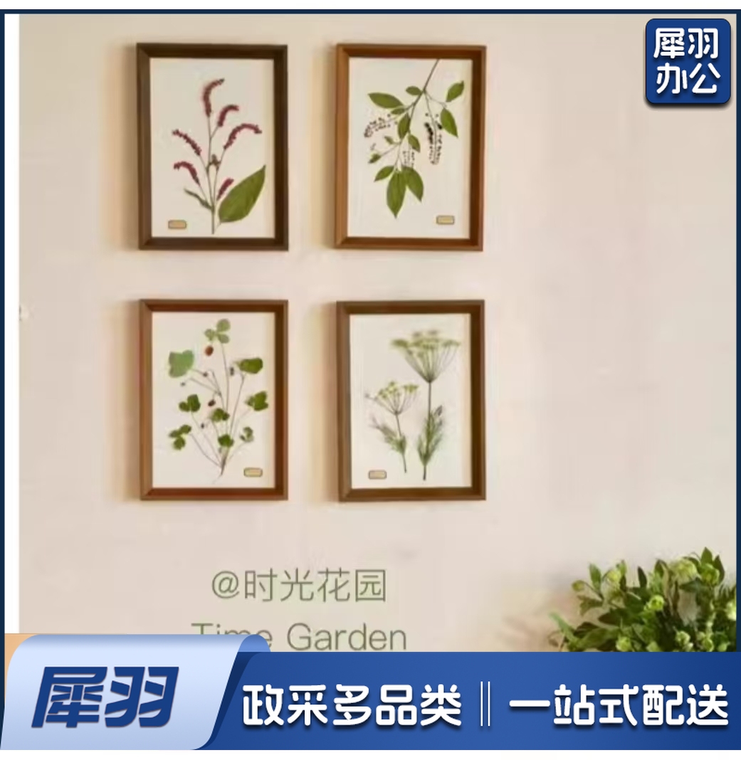 植物标本挂画