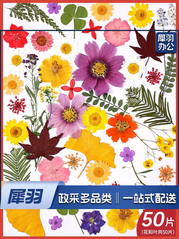 亚克力压花相框手工diy(夏花灿烂(干花包50片))制作材料包干花植物标本框透明装饰绘画框