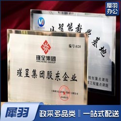 500*350mm 铜牌（内容可定做）