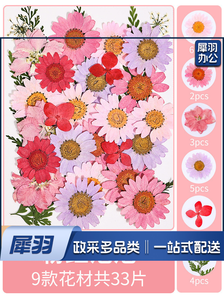 亚克力压花相框手工diy(粉红泡泡(干花包33片))制作材料包干花植物标本框透明装饰绘画框