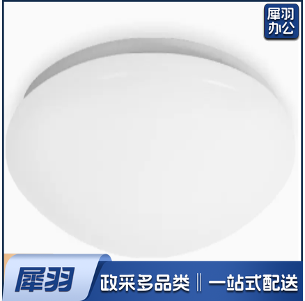 LED吸顶灯 24W 原18W尺寸 楼道灯楼梯间吸顶灯(地盘尺寸300mm)