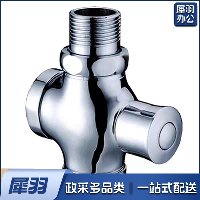 全铜延时冲水阀 特大体 手按式