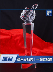 羽毛球比赛奖杯