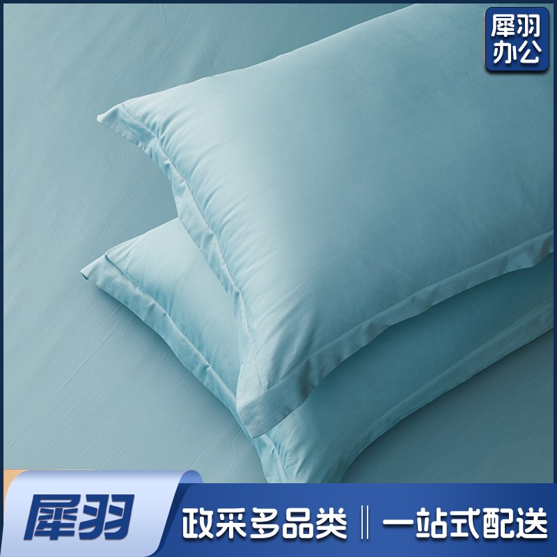 60支新疆长绒棉枕套全棉纯棉纯色成人枕套48*74cm枕套一对装 60支长绒棉枕套—冰川蓝