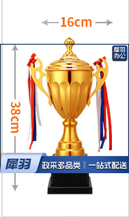金属奖杯  36*16 cm