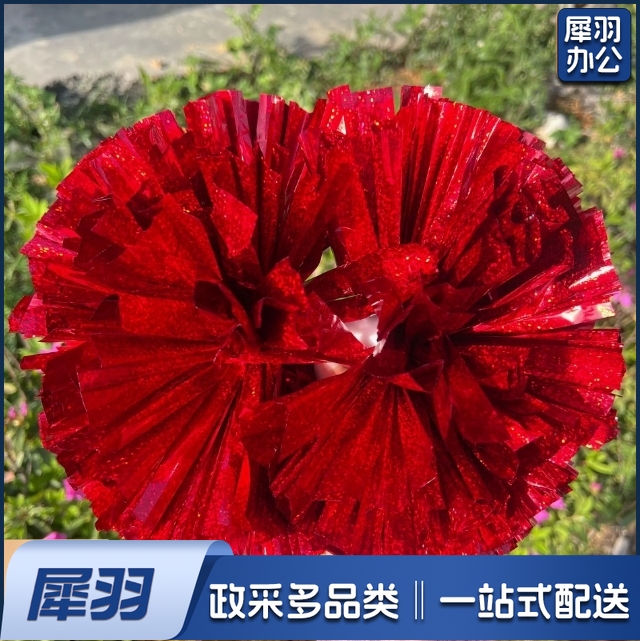（大号六寸手柄款镭射红）啦啦队花球手拿花啦啦操跳舞运动会拉拉队手握舞蹈演出手柄镭射球