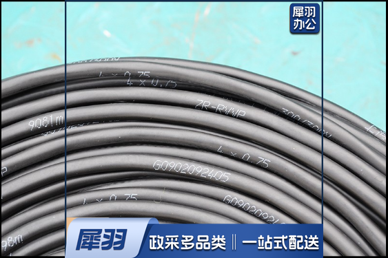 电线（ ZR-RVVP2*0.75）