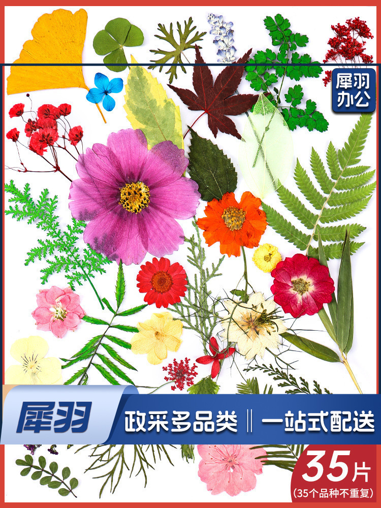 亚克力压花相框手工diy(春意盎然(干花包35片不重复))制作材料包干花植物标本框透明装饰绘画框