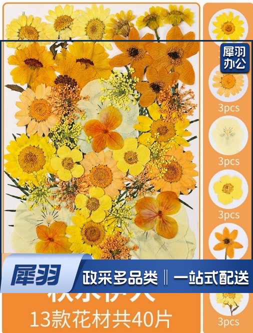 亚克力压花相框手工diy(倾橙绚舞(干花包18片))制作材料包干花植物标本框透明装饰绘画框