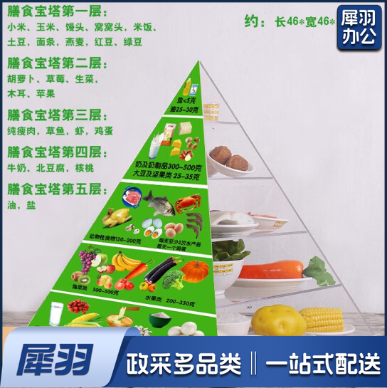 居民平衡膳食模型 营养指导食物交换份教学模型   2022版