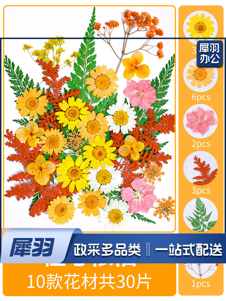 亚克力压花相框手工diy(橙心依旧(干花包30片)))制作材料包干花植物标本框透明装饰绘画框