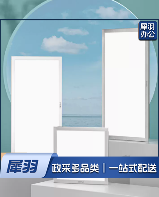 LED平板灯300*600 24W