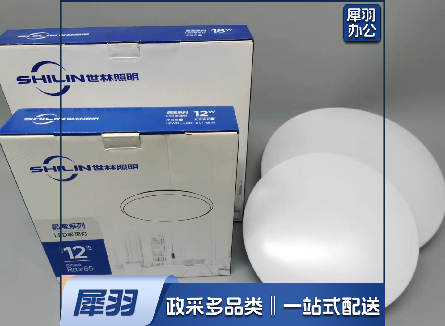 世林 吸顶灯 含灯芯