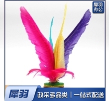 大花毽 踢毽子  10只为一组