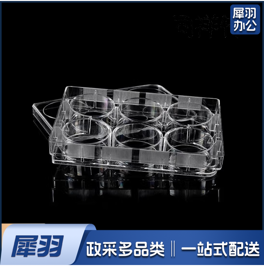 生物科学研究实验室用品塑料PP材质反应皿酶标板培养皿细菌细胞培养板6孔（10个） 603811