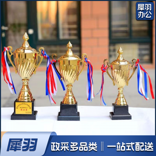 中号金属奖杯
