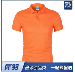 文化衫 T恤 POLO衫 半袖 可定制 具体定制内容联系客服