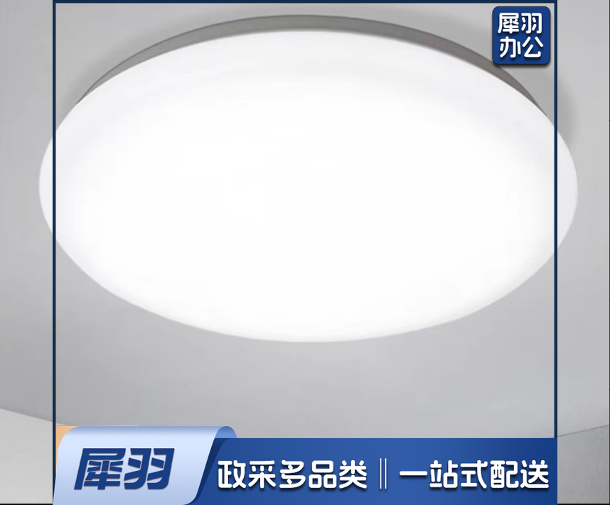 圆形吸顶灯(37cm 45W   白光)