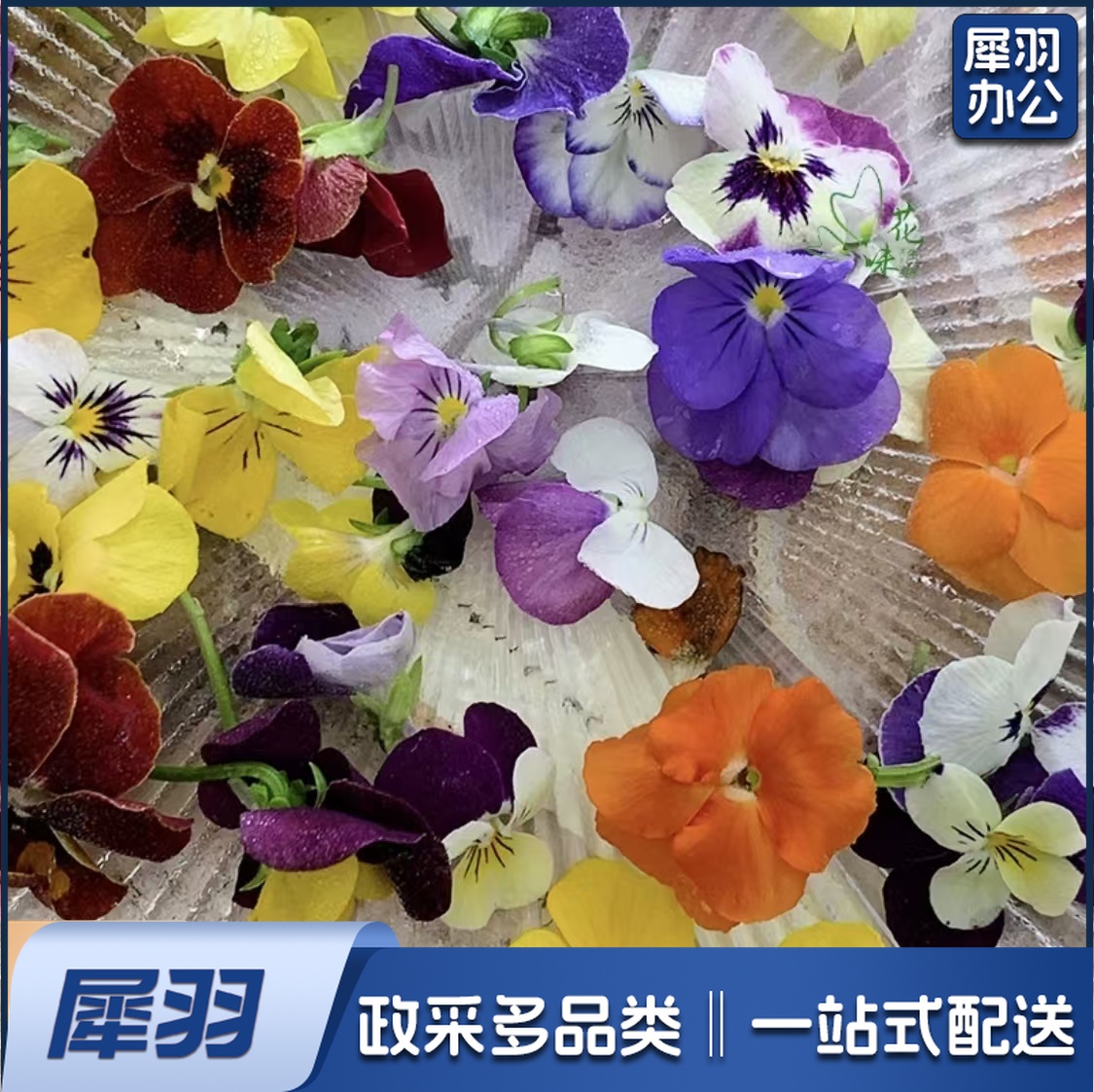 酒店西餐花草摆盘新鲜三色堇鲜花(50朵/包 )可食用